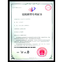 中國(guó)專利